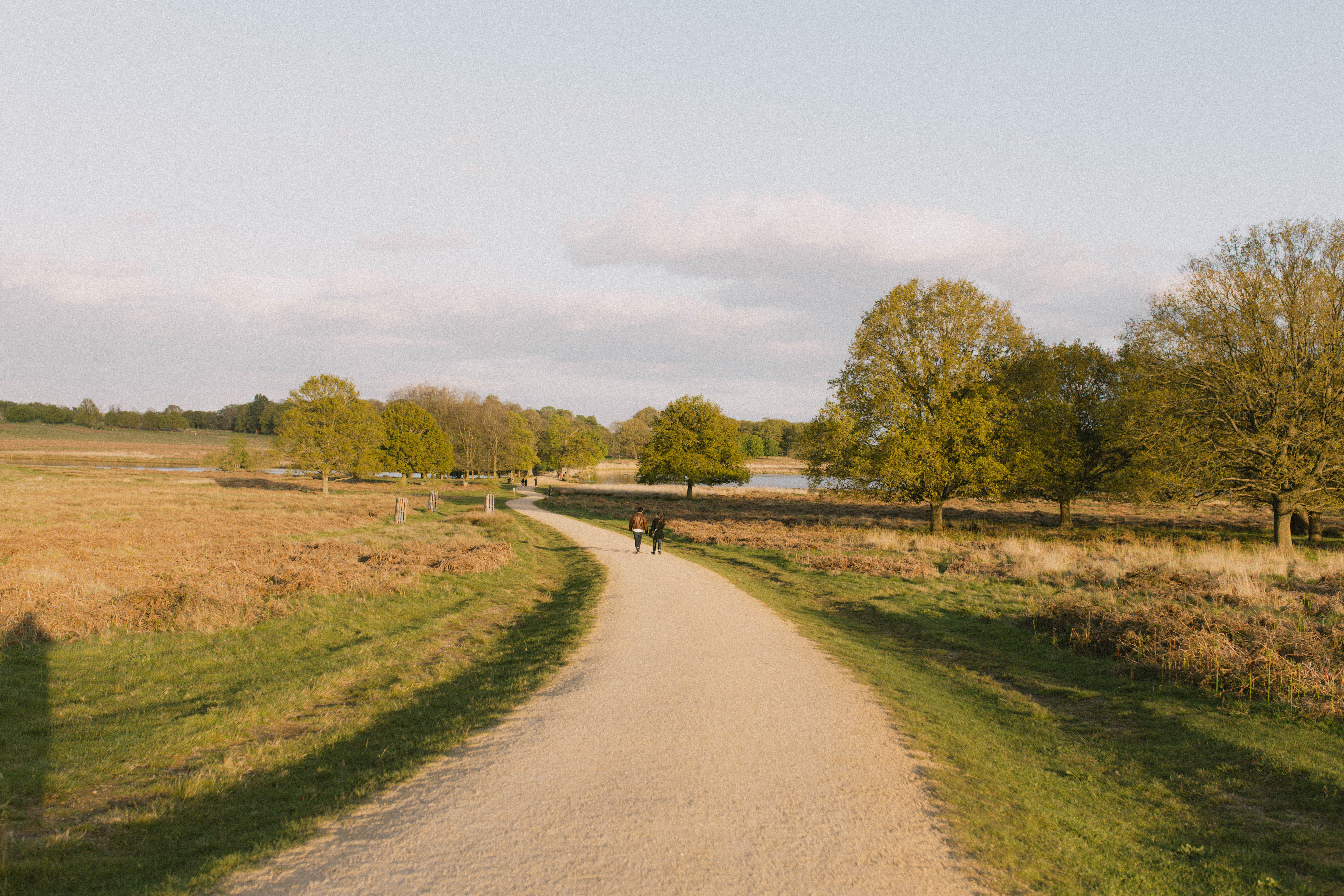 Richmond Park 233