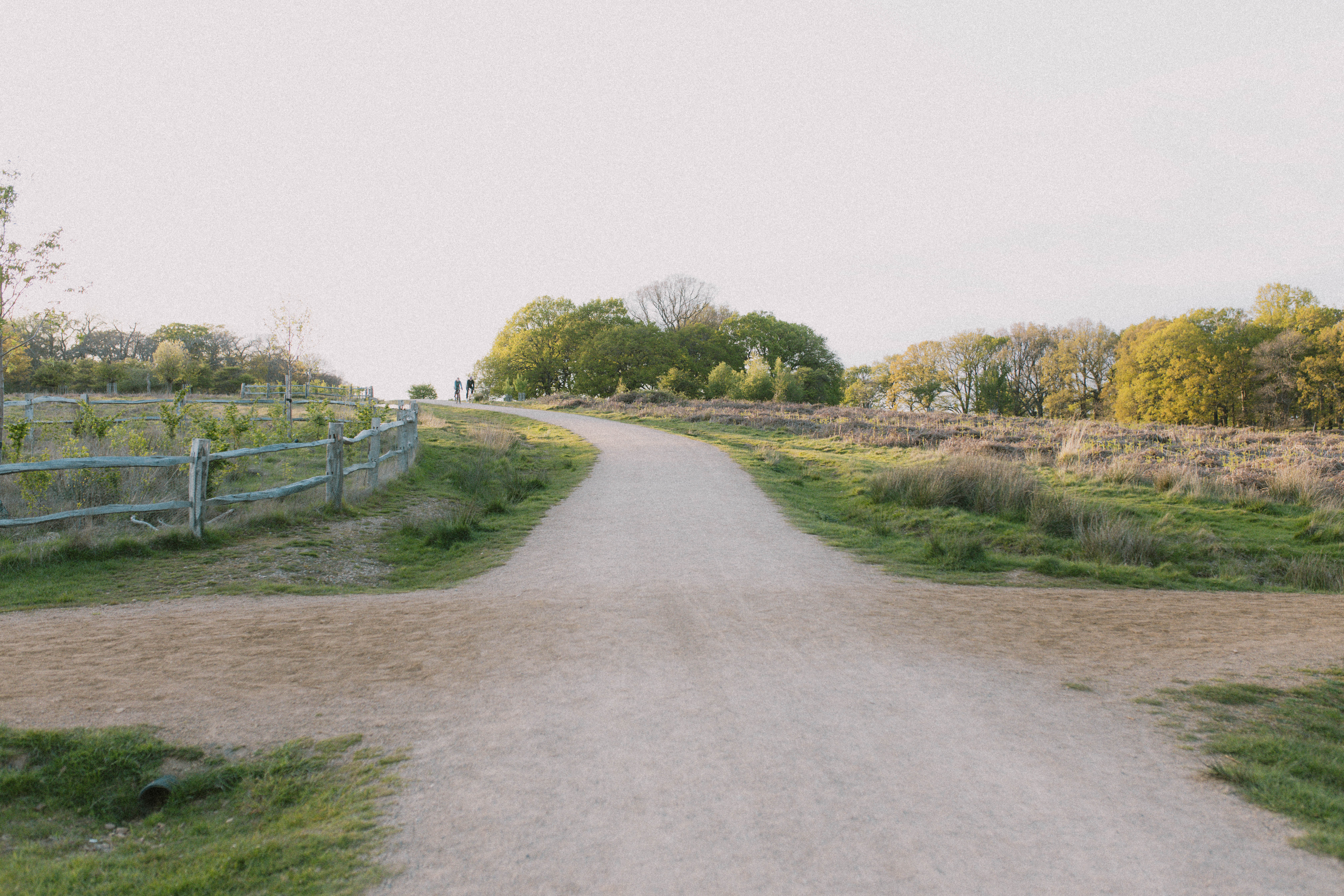 Richmond Park 235