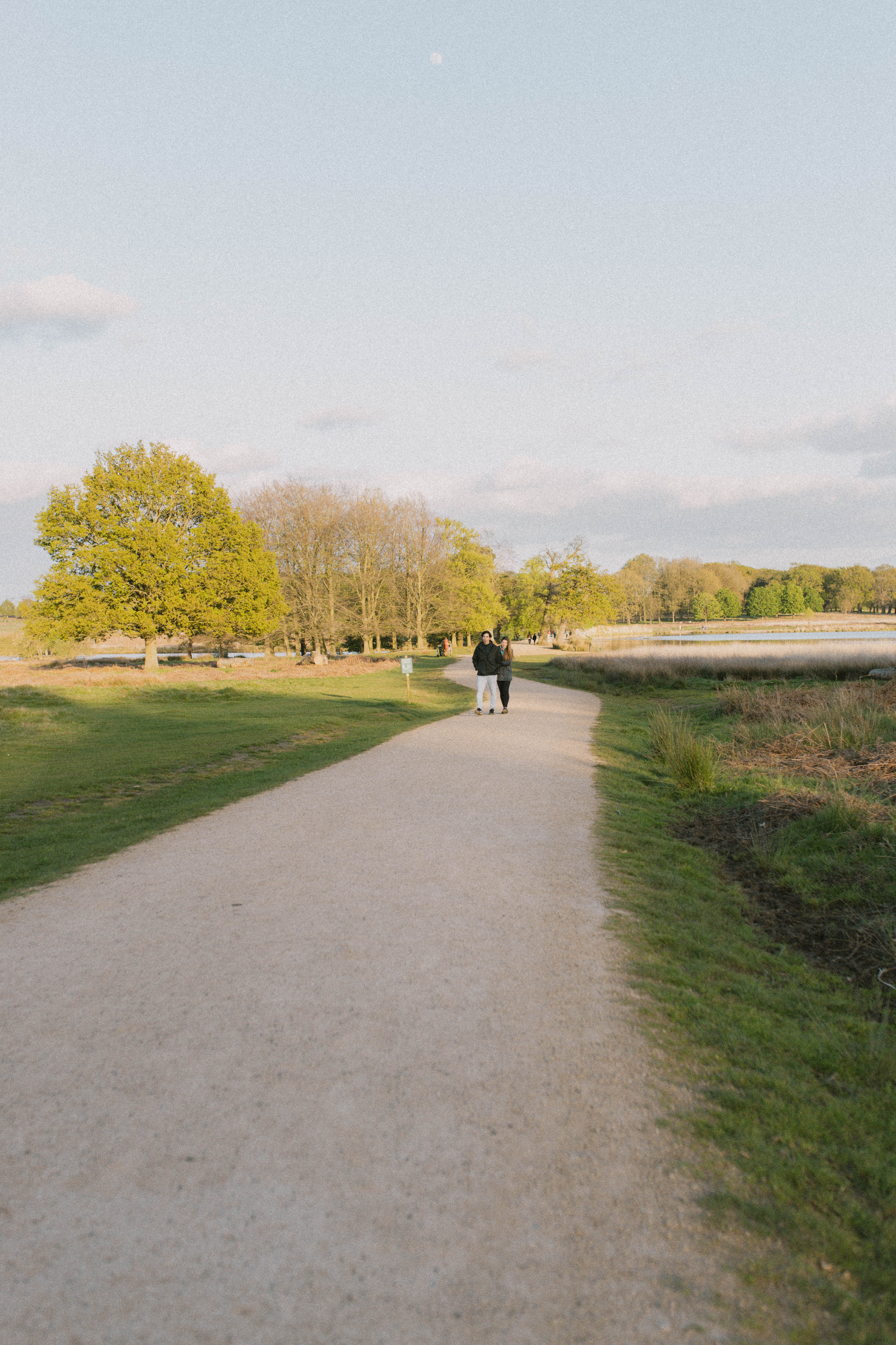 Richmond Park 246