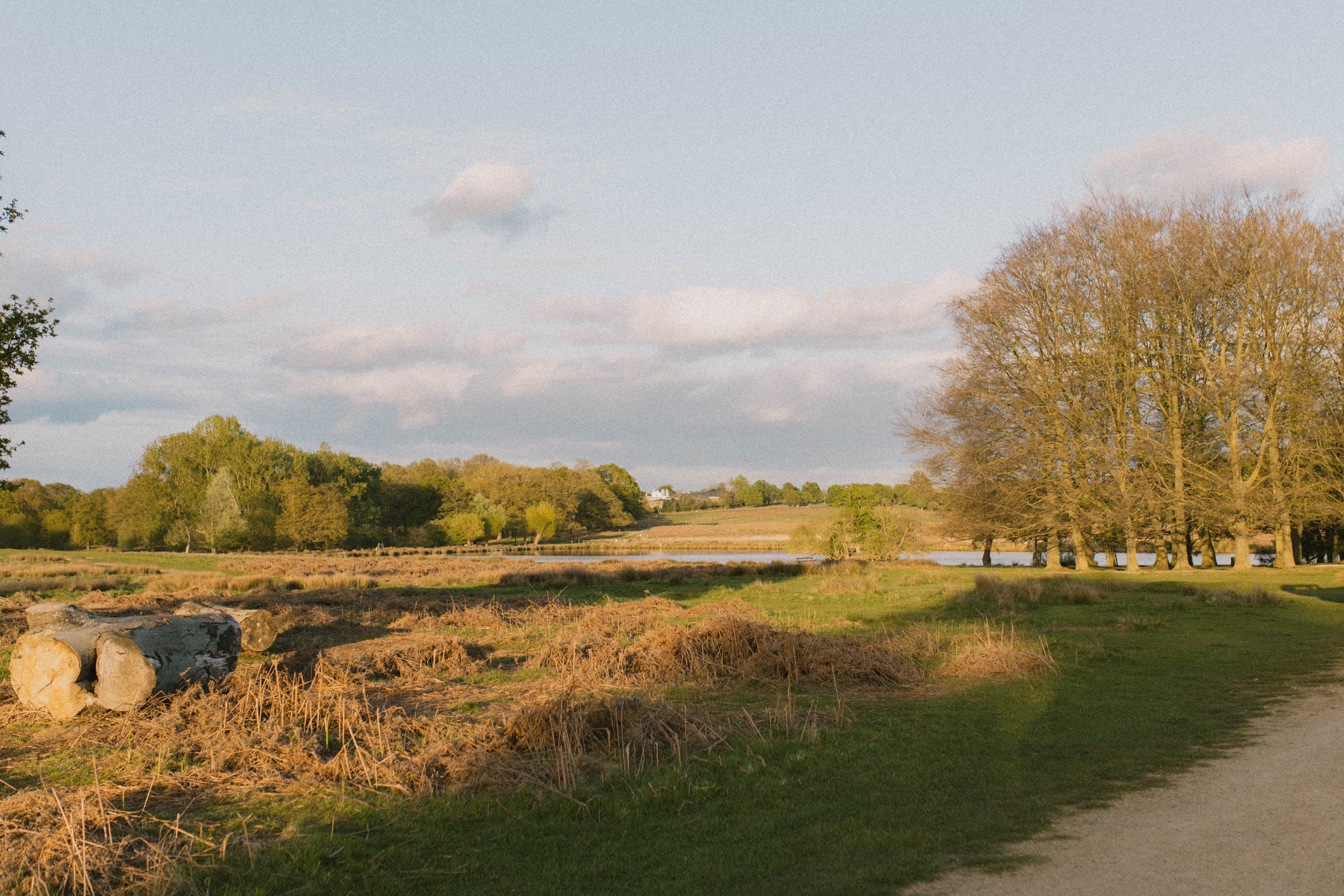 Richmond Park 249