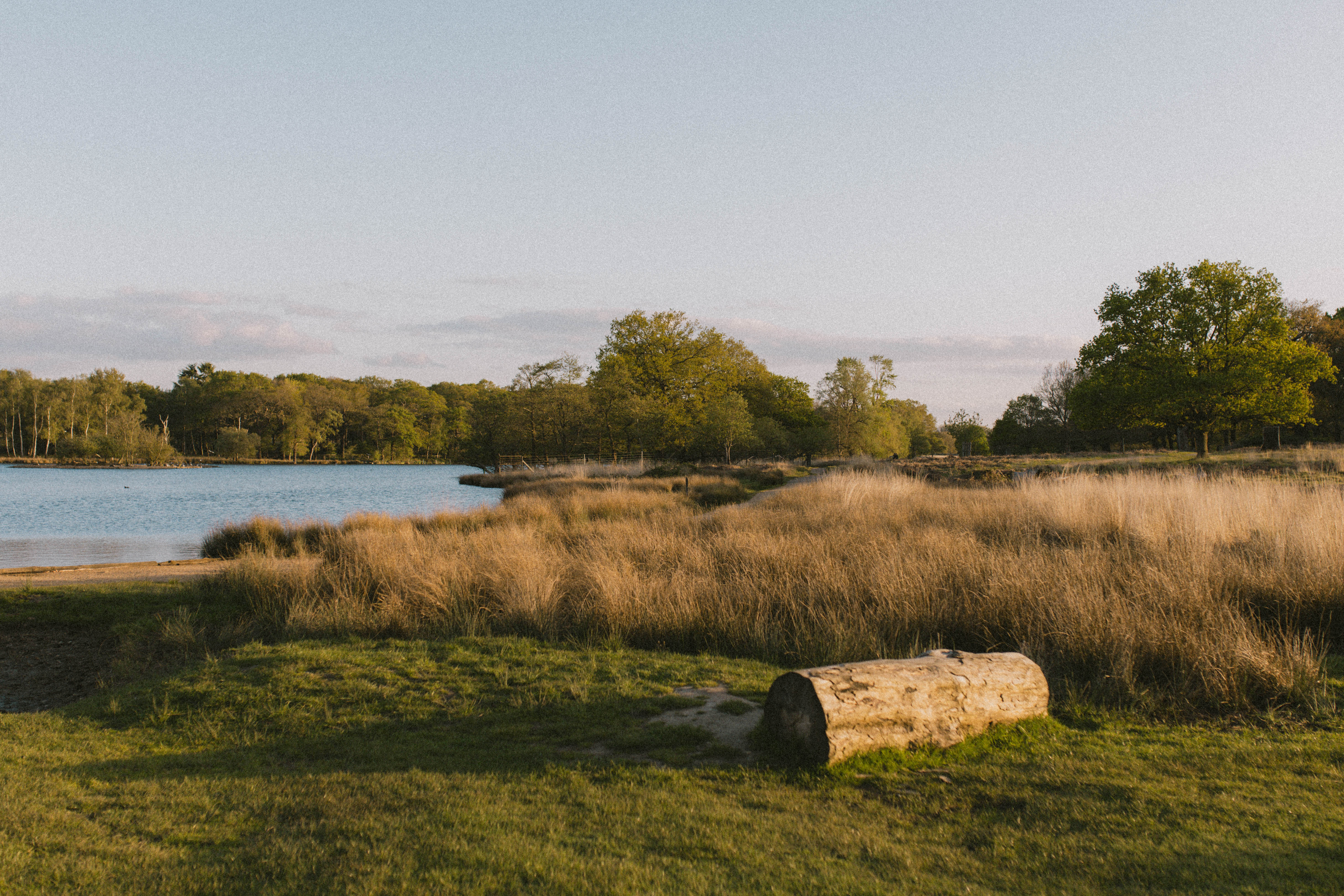 Richmond Park 251