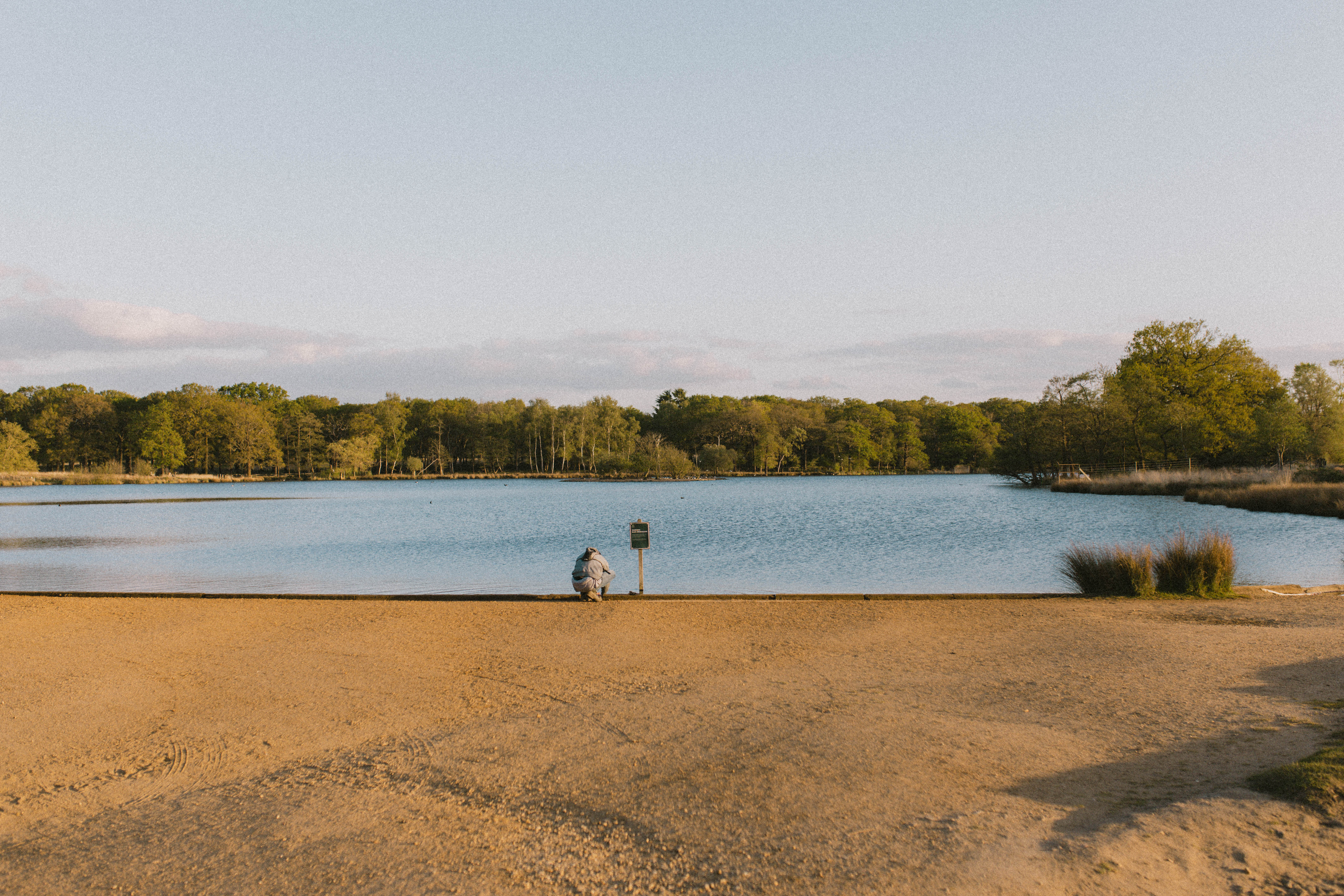 Richmond Park 254