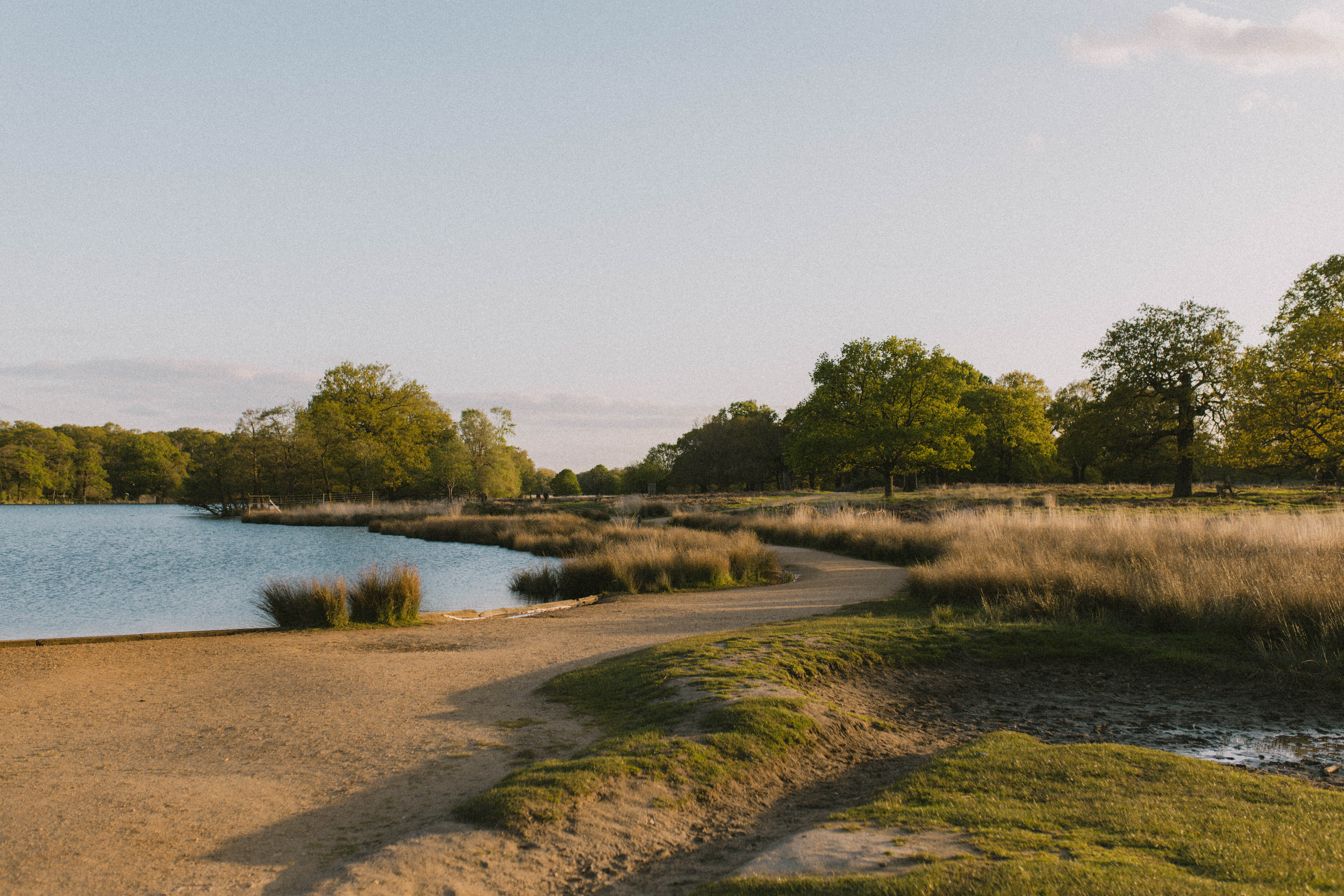 Richmond Park 255