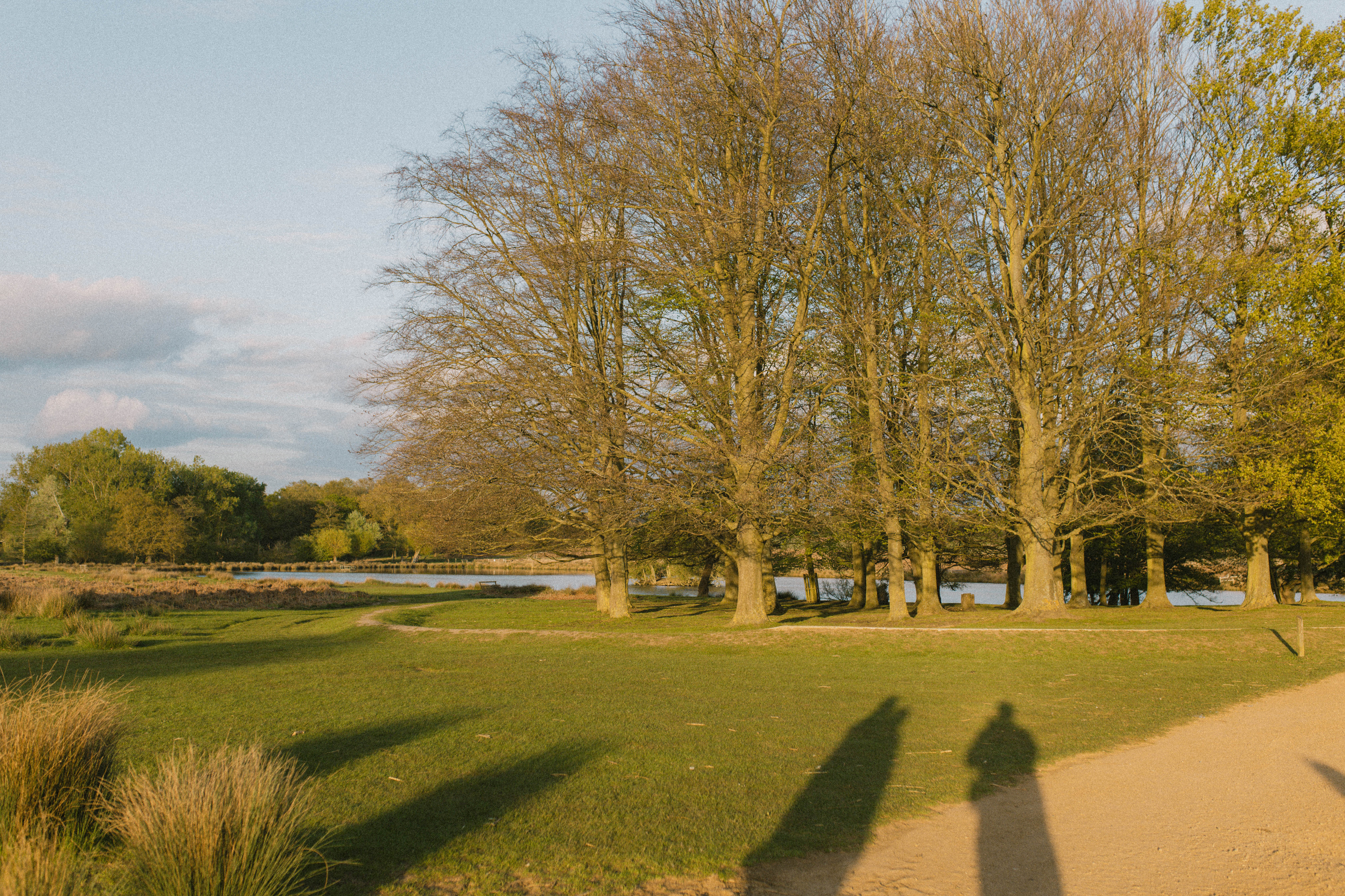 Richmond Park 256