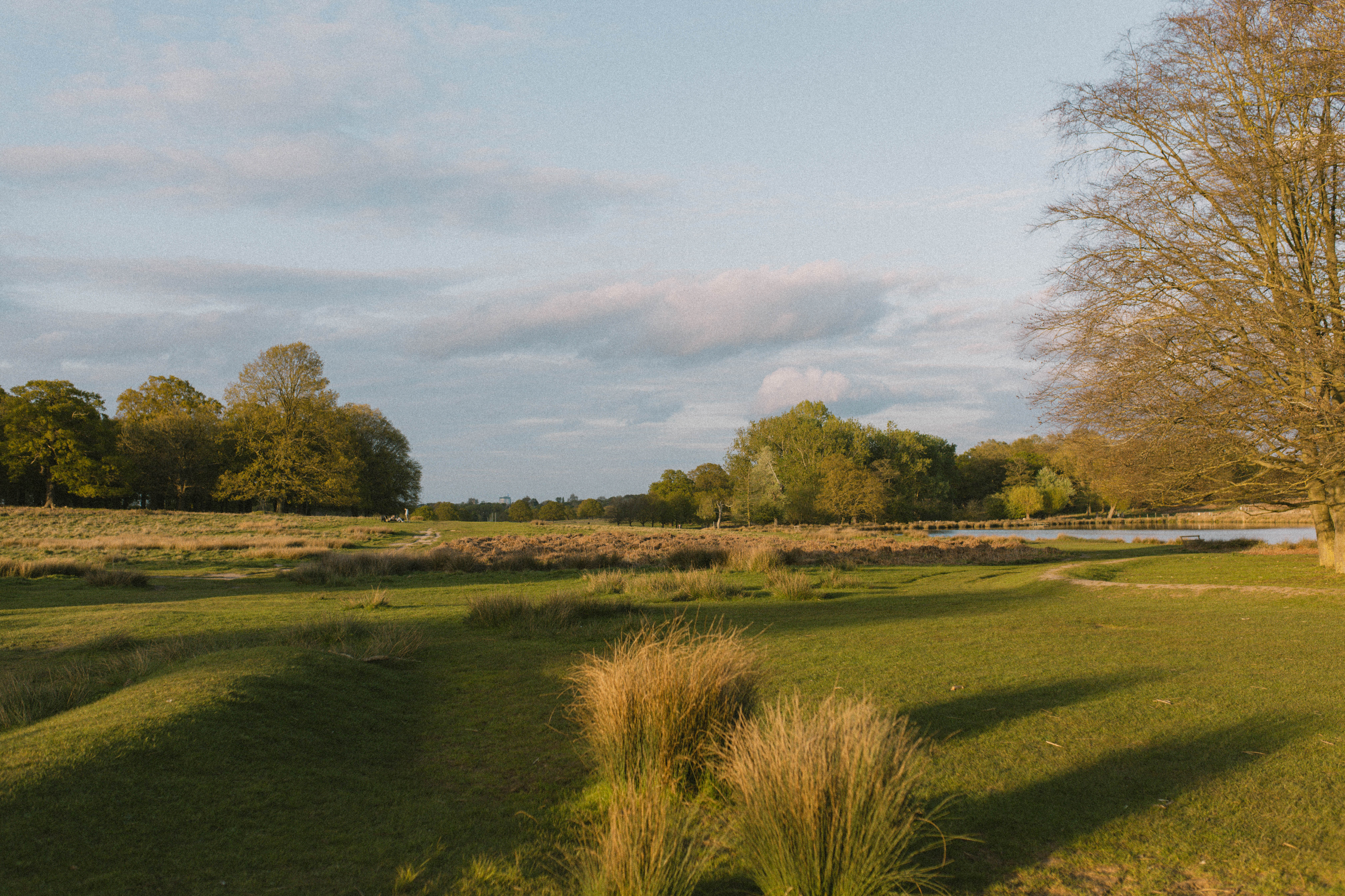 Richmond Park 257