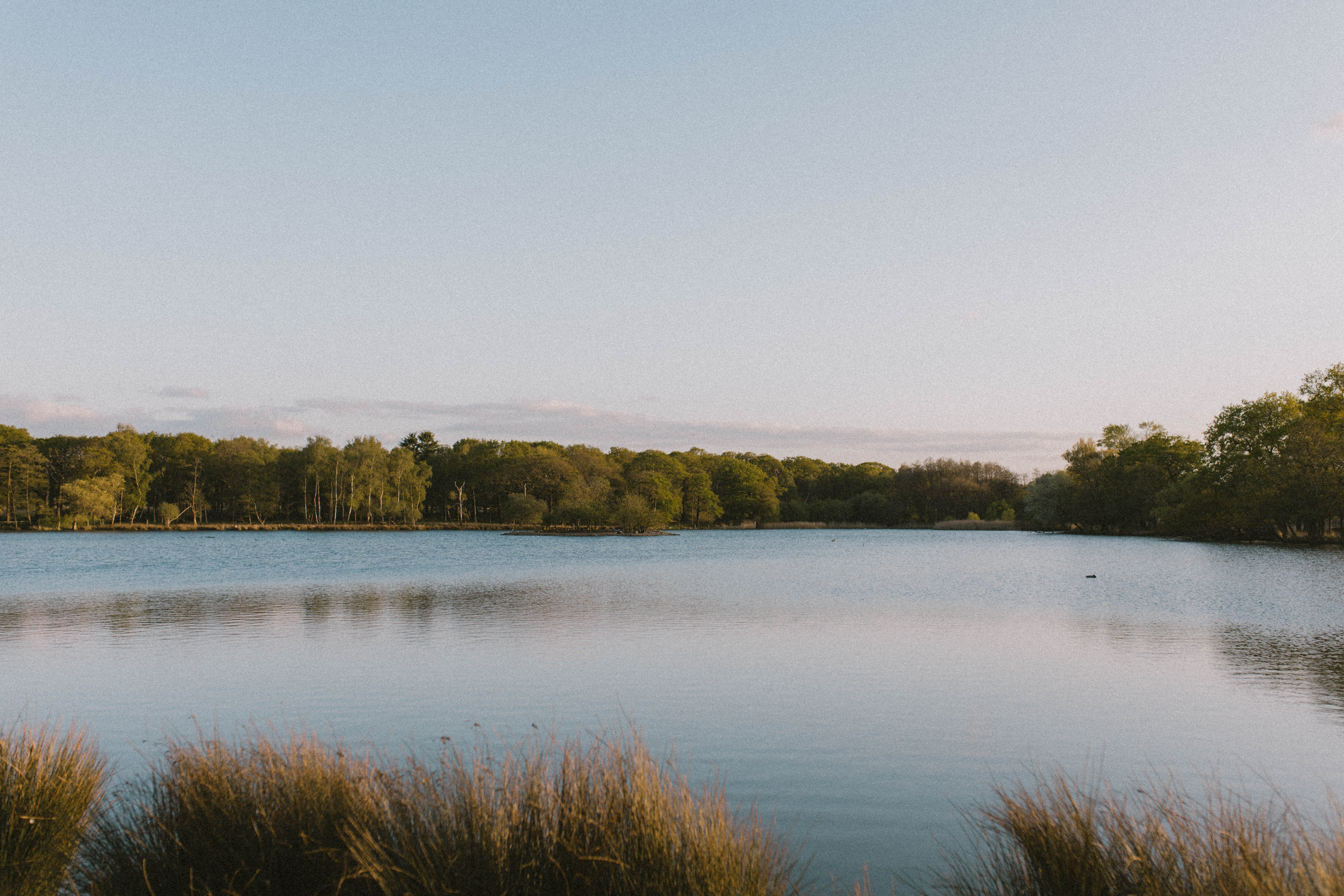Richmond Park 268