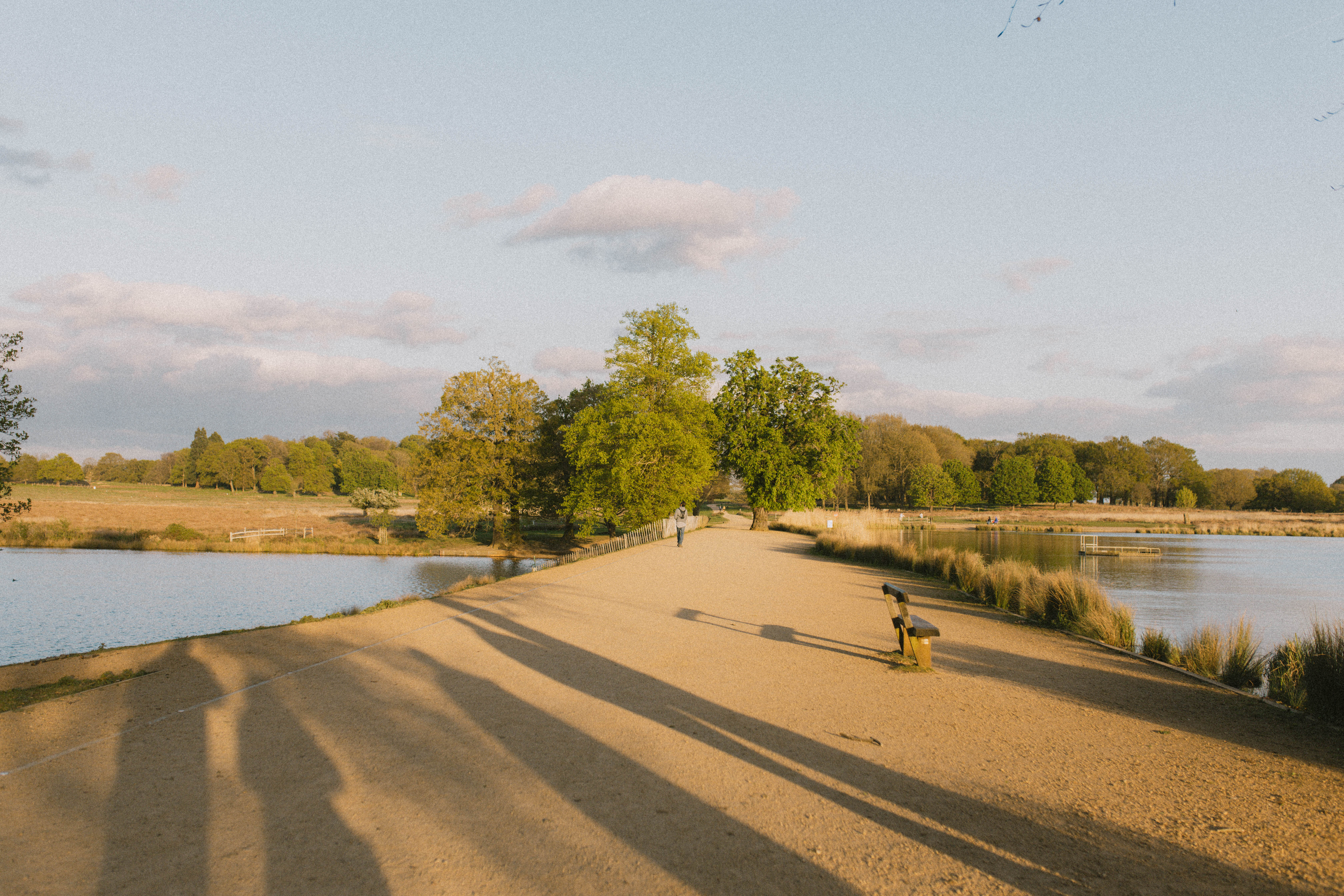 Richmond Park 269
