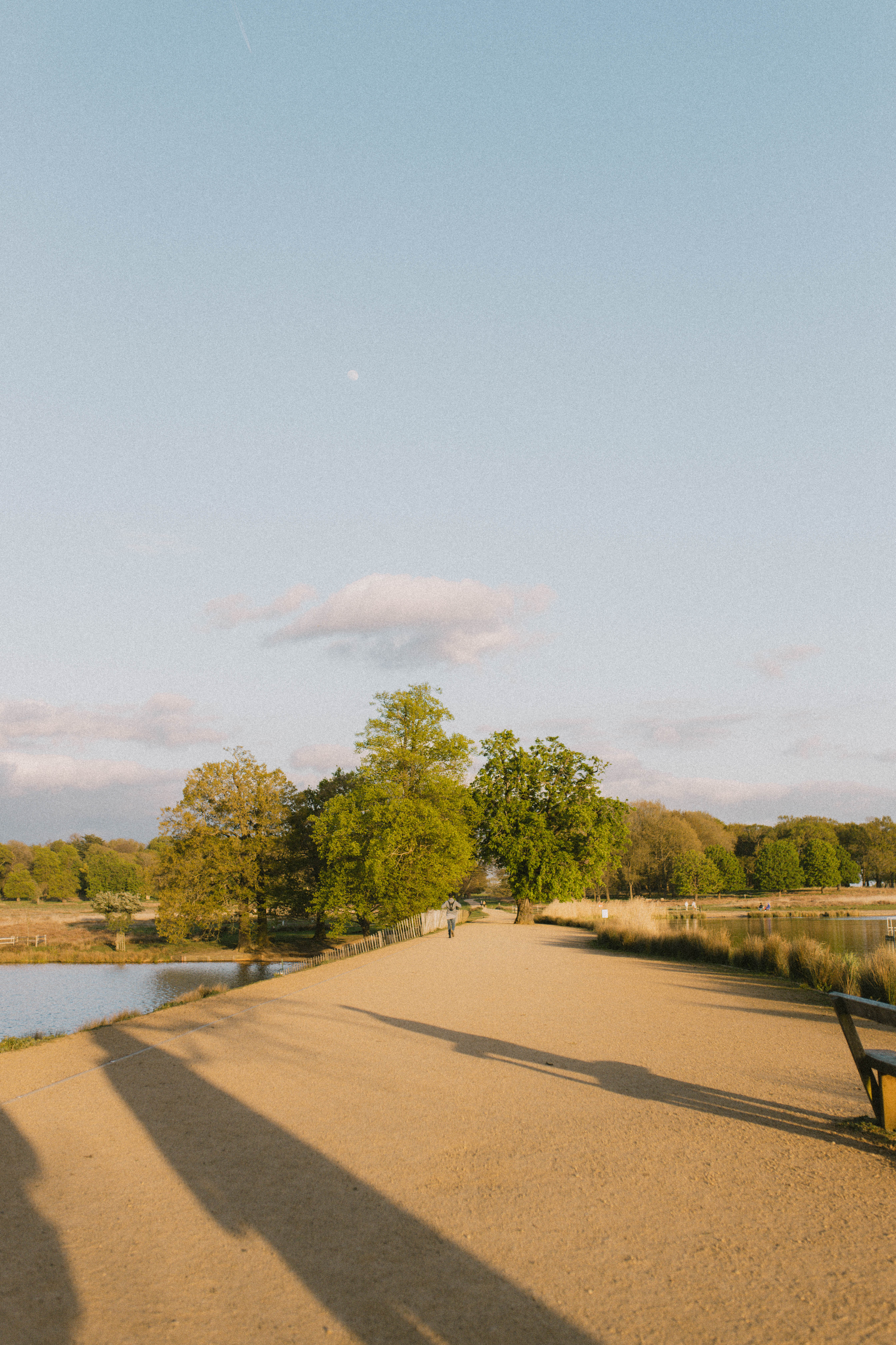 Richmond Park 270