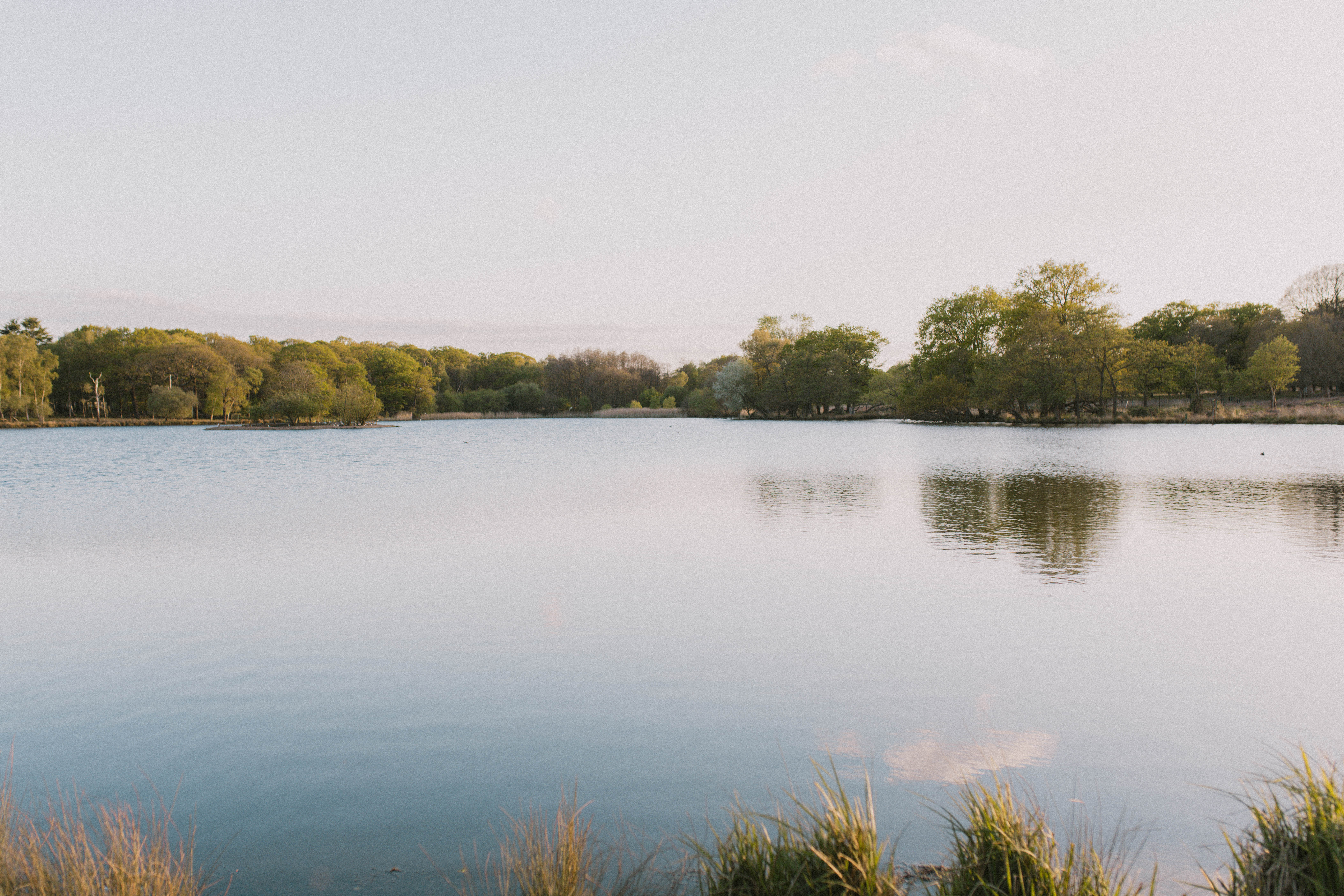 Richmond Park 271