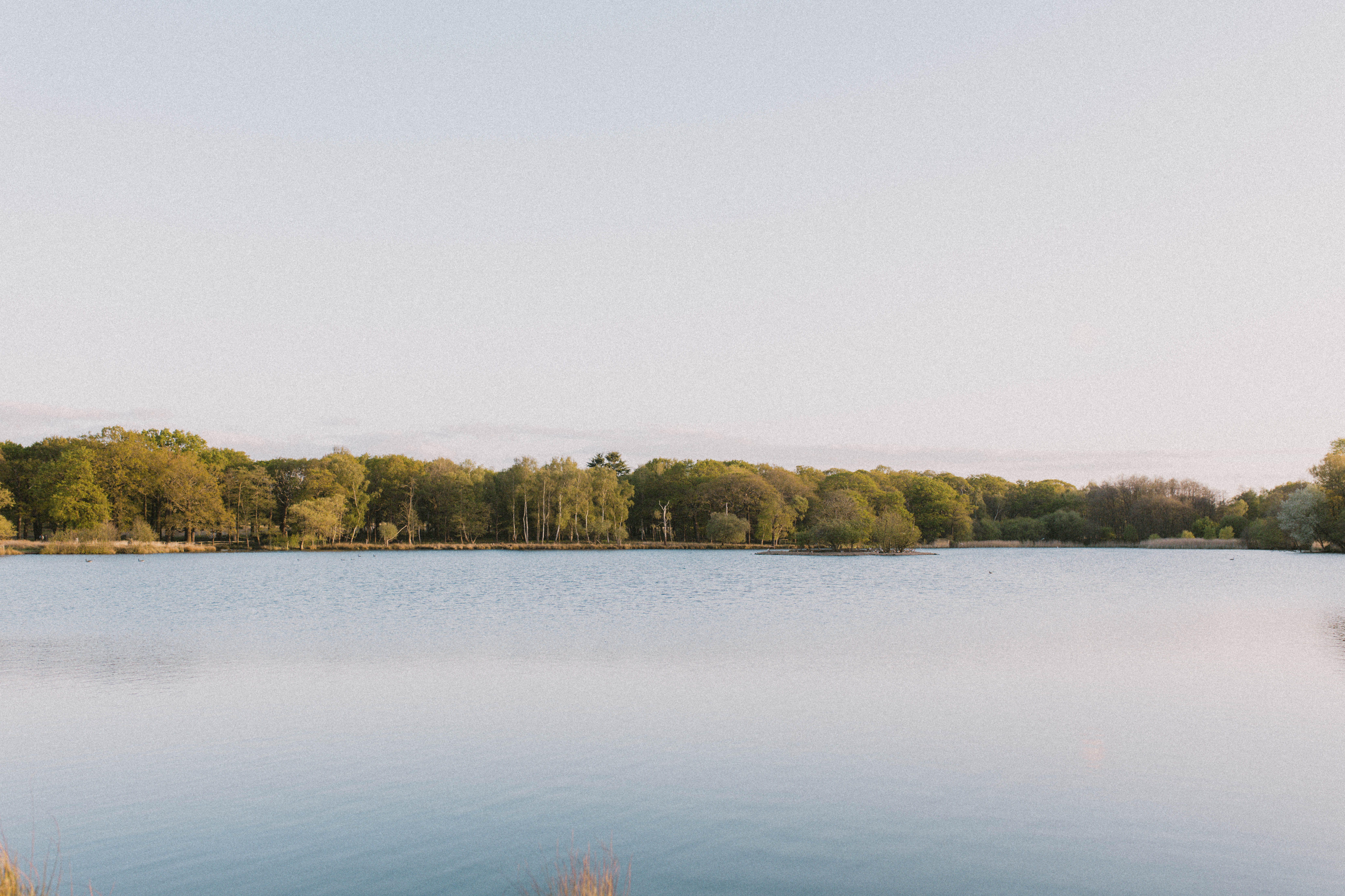 Richmond Park 272