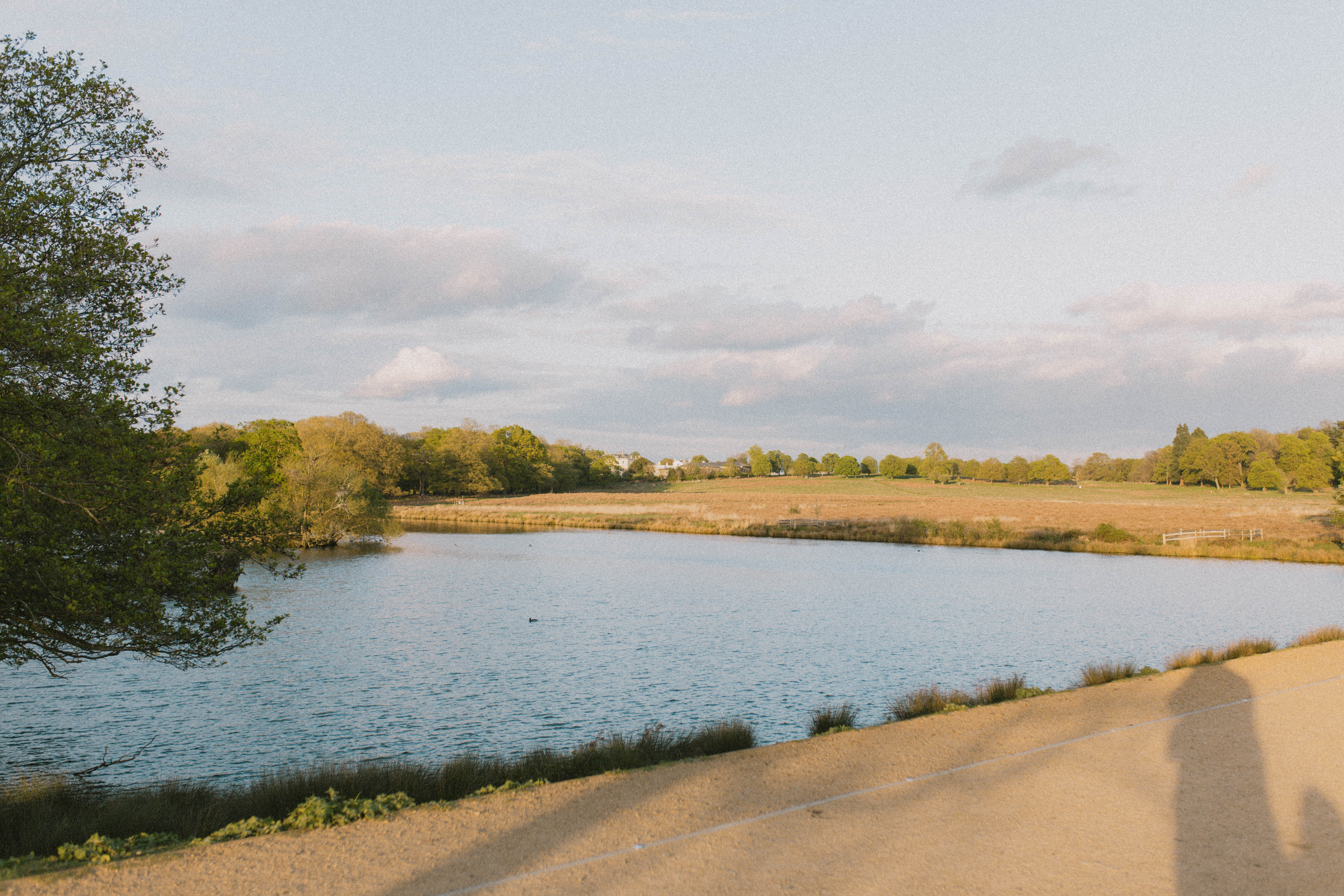 Richmond Park 273