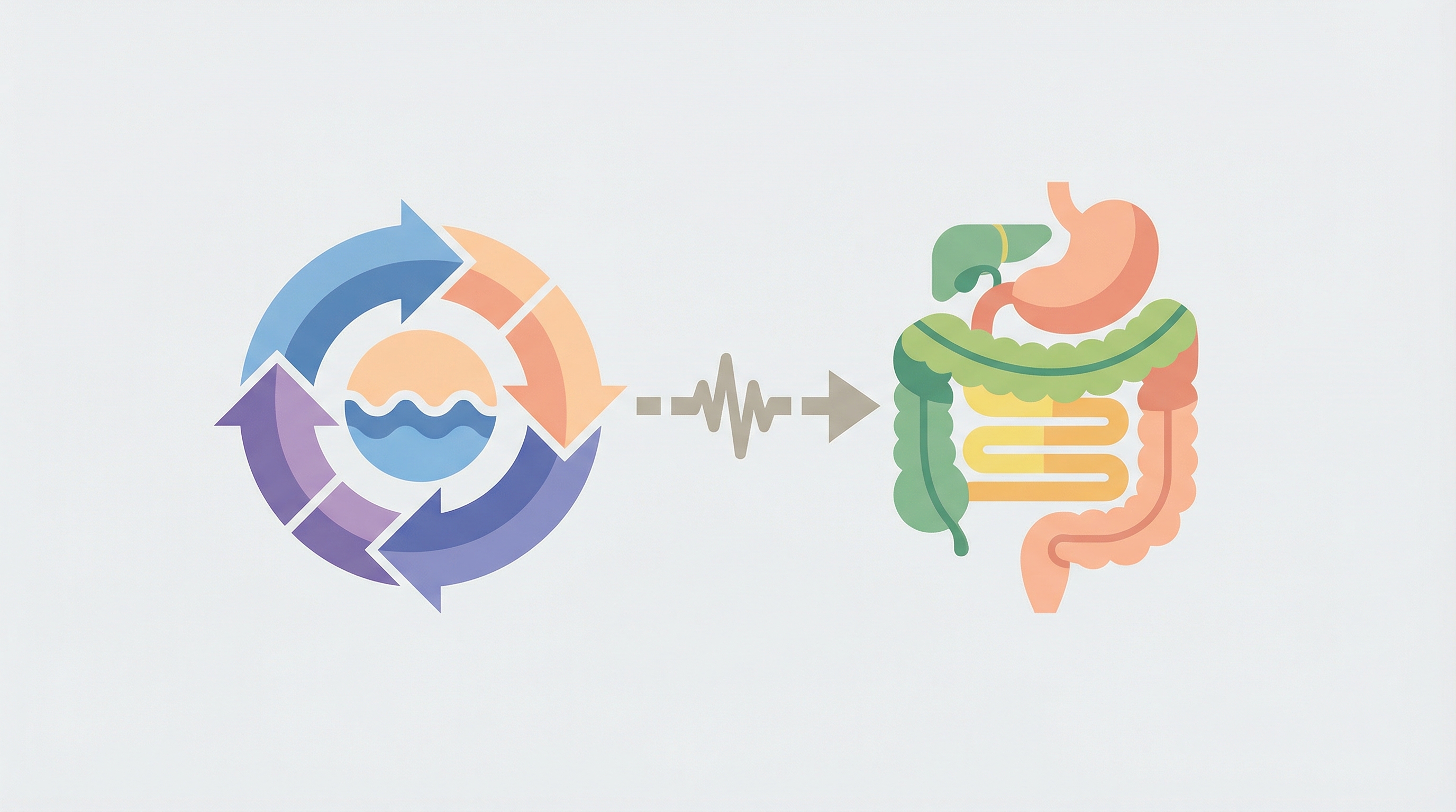 Влияние гормонального цикла на симптомы СРК у женщин