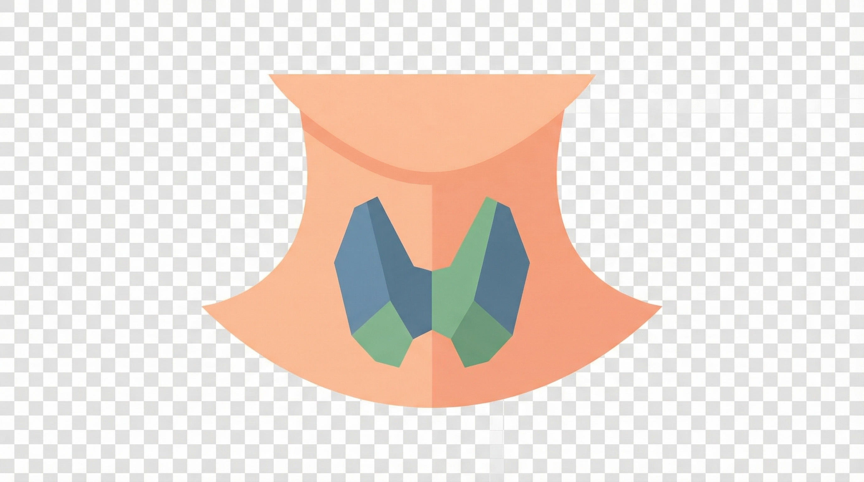 Расшифровка гормонов щитовидной железы - анатомическое расположение